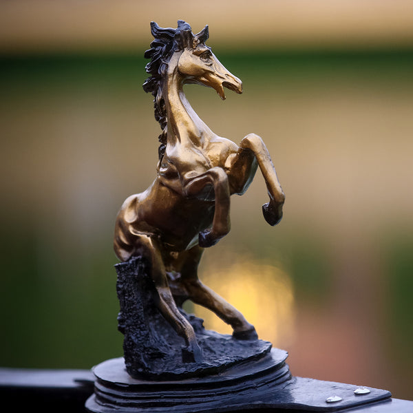 Numerea fans, got some good news for you…