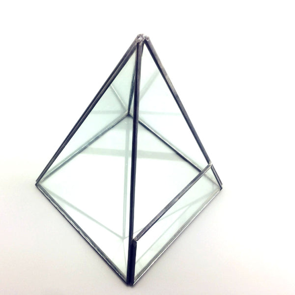 Glass Terrarium Moss Miniature