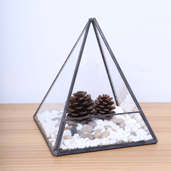 Glass Terrarium Moss Miniature